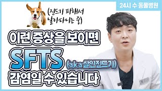 진드기 매개질환 들어보셨나요? (SFTS 중증열성혈소판감소증후군)