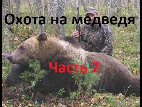 Охота на медведя Самые Жестокие моменты нарезка 18 Часть- 2.Бурый Медведь. Убийство медведя