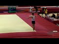 wibye harald nor 2018 artistic worlds doha qat qualifications floor exercise