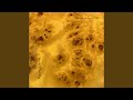 'z' (Drone of Bees)