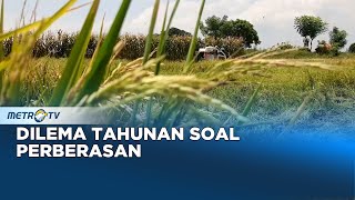 Dilema Tahunan Soal Perberasan