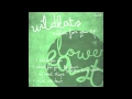 Wildkats- Addict for You (Dexter Kane and Lee Brinx Mix)