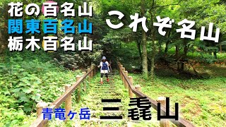 【三毳山】トリプル百名山のみかも山登山 暑過ぎるけど真夏の花の百名山に登る