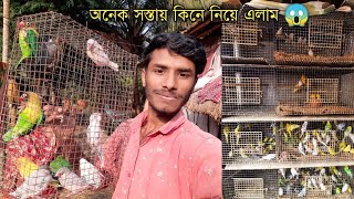 জয়নগরে গেলাম পাখি কিনতে 😍 এত সস্তায় সব কিছু 😱 Java Birds , Love Birds , Cocktail Birds  | Joynagar