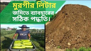 কৃষি উৎস-৫৬, মুরগির লিটার বা বিষ্ঠা সঠিক ভাবে জমিতে ব্যাবহার ও জমি প্রস্তুতকরন। #agriculture_bd