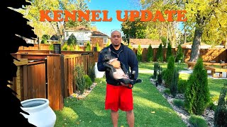 Kennel 2.0 | Designing The Perfect Dog Kennel: Functional Layout & Build Tips | Update 2024