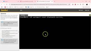Manage Linux Services