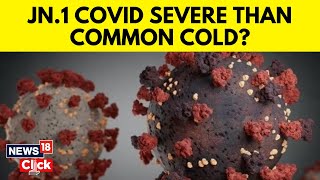 JN.1 Covid Variant | New Coronavirus Variant JN.1 Detected: How Worried Should You Be | N18V
