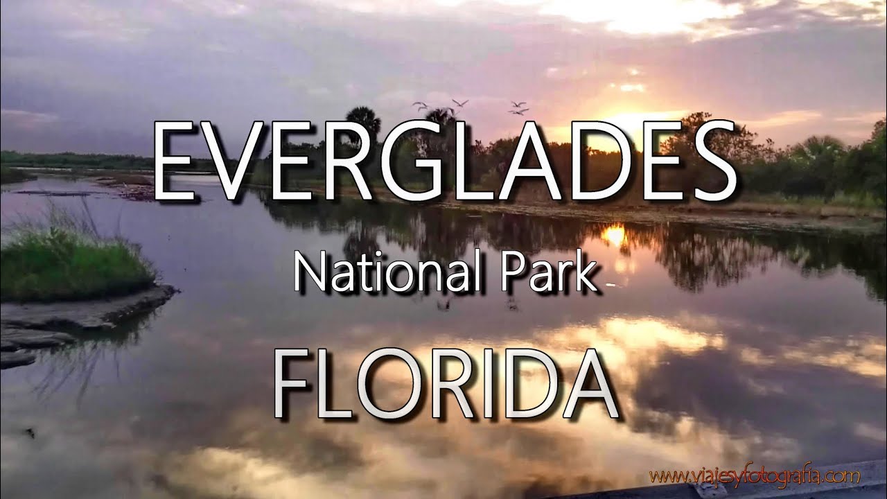 La Naturaleza Salvaje Del Everglades National Park Youtube