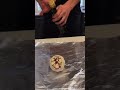 Tiktok Cooking- Steak Frites