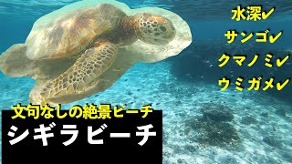 【シュノーケル】シギラビーチ 宮古島 Snorkeling in Shigira beach, Miyako, Okinawa, JAPAN