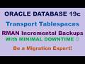Oracle Transport Part 2: Transport Tablespaces using RMAN Incremental Backups (Minimal Downtime)