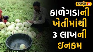 Banaskantha News: ખેડૂતે કાળેગડાની ખેતીમાંથી મેળવી 3 લાખની આવક |#local18