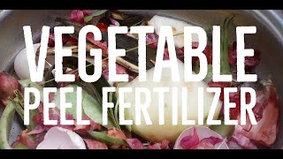 Vegetable peel fertilizer for terrace garden plants  - പച്ചക്കറി വേസ്റ്റ് കൊണ്ടൊരു വളം ചെടികള്‍ക്ക്