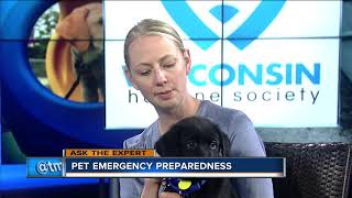 Ask the Expert: Pet emergency preparedness