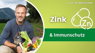 Wie wichtig ist Zink für die Immunabwehr? 🚨  Dr.  rer. nat. Markus Stark