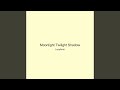 Moonlight Twilight Shadow