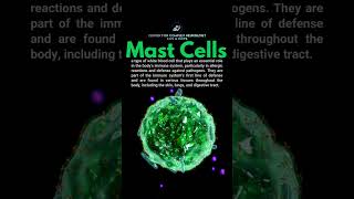 What are Mast Cells - #shorts