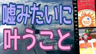 嘘みたいに😳叶うこと😆🙌人生が変わるリーディング✨オラクルカードリーディング✨占い✨スピリチュアル✨