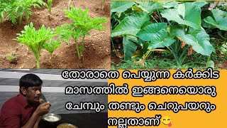 നിക്കാതെ പെയ്യുന്ന ഈ കള്ളക്കർക്കിടത്തിൽ ഈ ജാതി ഒരു കൂട്ടാനും നല്ലതാണ് natural traditional food