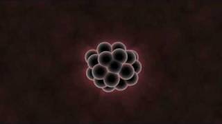 Cell To Embryo