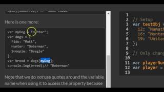 Accessing Objects Properties with Variables, freeCodeCamp Basic Javascript