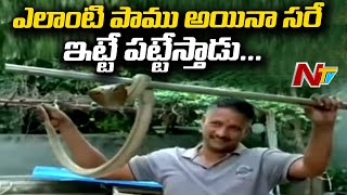 Snake Lover Rescued More Than 2000 Snakes | Karimnagar | NTV