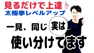 【毎晩7時配信】24式太極拳｜同じ場所では払っていないのです