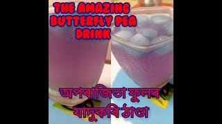 REFRESHING BUTTERFLY PEA DRINK অপৰাজিতা ফুলৰ যাদুকৰি ঠাণ্ডাই #Refreshing #Butterflypea #Drink