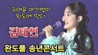 김태연 - 완도풀! 해양치유완도 송년콘서트🎵 내가꽃이다,소금꽃, 남이가,메들리 [241212]