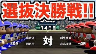 【選抜決勝】初の全国制覇なるか！？春の甲子園決勝戦！【パワプロ2019 栄冠ナイン ダイヤのA 真•青道高校編#35】【実況パワフルプロ野球】【AKI GAME TV】