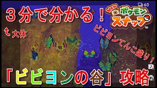 【大体３分で分かる！】「ビビヨンの谷」の攻略【Newポケモンスナップ】