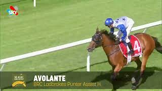 Lot 670 - Avolante - Magic Millions National Broodmare Sale