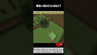 【マイクラ】黄色い花はどこにある！？ #マイクラ #マインクラフト #逃走中  #shorts