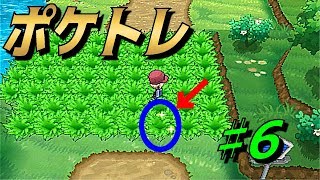 [ポケットモンスターＸＹ]（色違い・ポケトレ）４０連鎖前に出たらサイコー♪（part6）