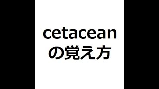 cetaceanの覚え方　＃英検1級　＃英単語の覚え方　＃TOEIC　＃ゴロ　＃語呂　＃語源　＃パス単