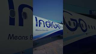 Business class IndiGo Stretch #indig#shorts #reels #aviation #viralvideo