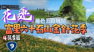 【花蓮行之四】2023花蓮富里六十石山金針花季「超美忘憂大草原」｜季節限定｜玉里麵｜橋頭臭豆腐｜大農大富｜60+阿波🍀到那裡了