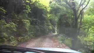 川面山中林道　三河のダート　パジェロミニ車載動画