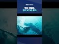 개봉 이틀 만에 관객 100만 돌파 shorts mbc뉴스