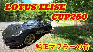 ロータス エリーゼ 純正マフラー音【LOTUS ELISE CUP250】交換するべきか考える