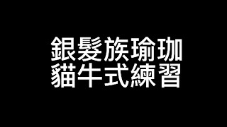 銀髮族瑜珈：貓牛式練習