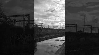 Adventurous mood: Canalside for a summertime Sunday stroll, in cloudy Leeds — 30th June 2024, 6:35pm