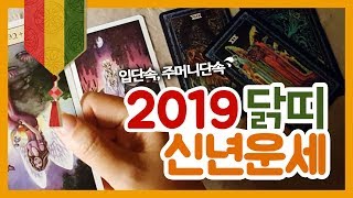 [2019년 신년운세] 닭띠, 이것은 꼭 알고가세요!