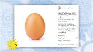 ”Därför blev ägget störst på instagram” - Nyhetsmorgon (TV4)