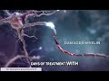 revolutionizing ms treatment lucid ms s breakthrough in myelin restoration in animal mice models