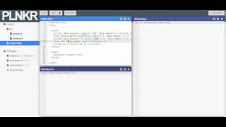 Intro to the new package interface on Plunker