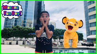 MASON PLAYS HIDE and SEEK with THE LION KING TOYS! Pretend Play with Masons Fun Day!!!