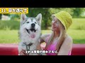 犬の奇妙な行動に隠された意味13選