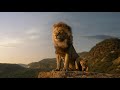 Simba waking up his Dad | The Lion King 2019